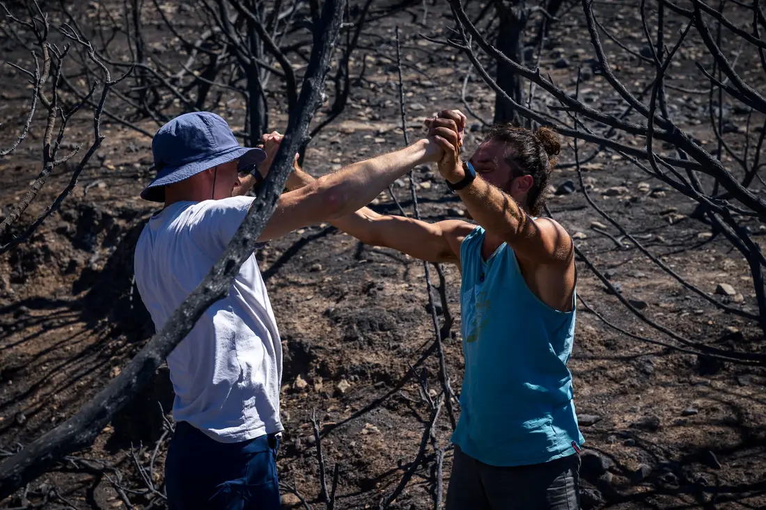Two men clasping hands in a high five among burnt trees