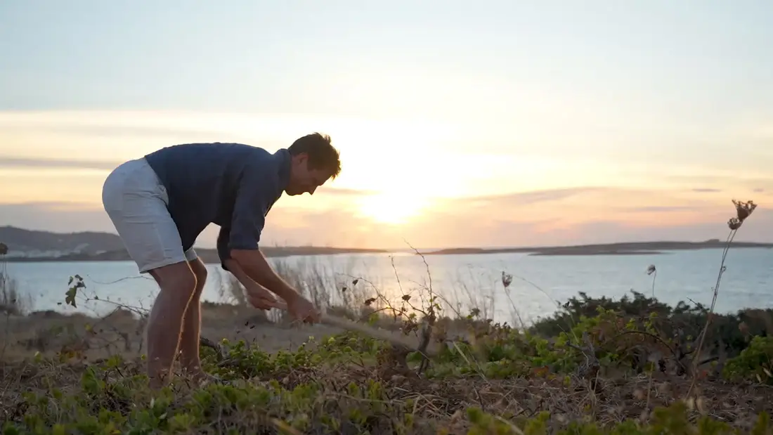 A man bending over with a hoe in a hillside garden at sunset, sea and islands behind