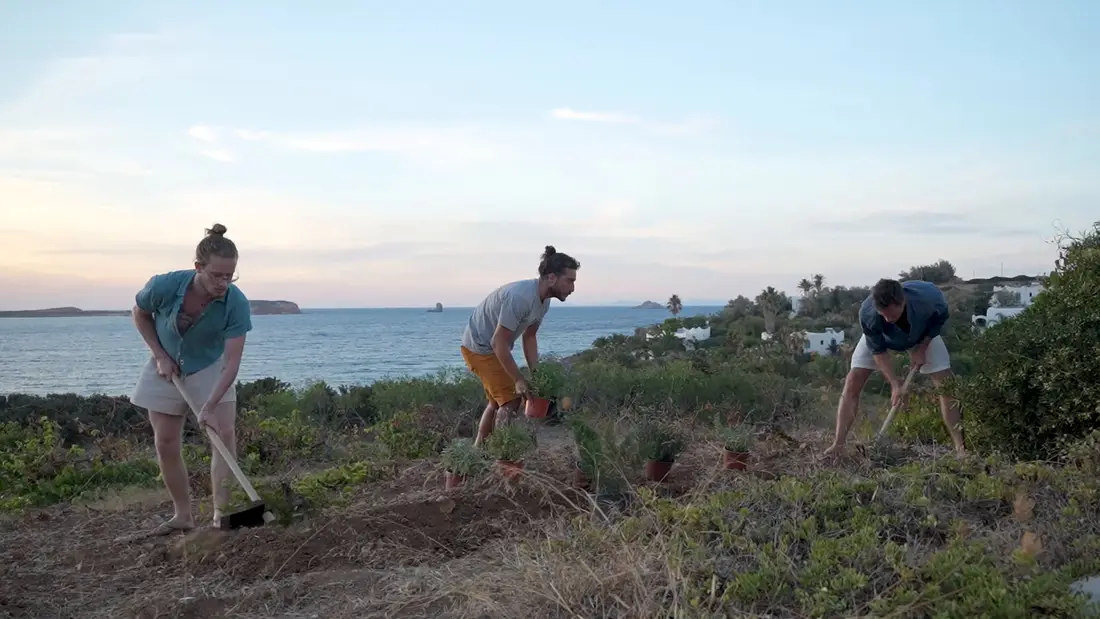Three people working the ground with hoes on a slope above the sea at dusk, potted plants beside them